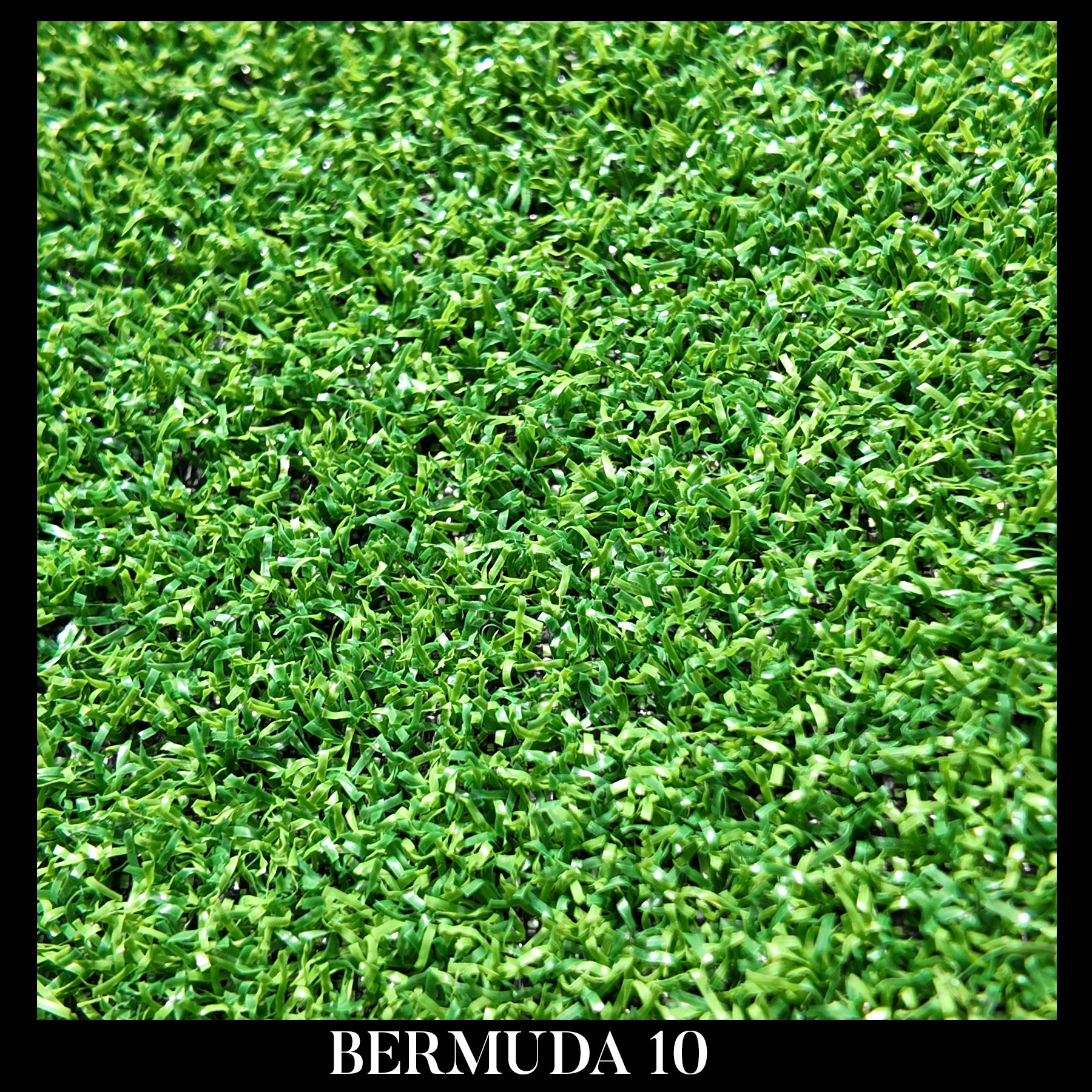 BERMUDA 10